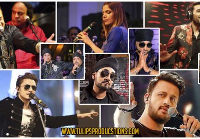 Cultural Icons Who Shaped the Punjabi Music Industry