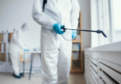 Are Bed Bugs Dangerous? Health Risks You Shouldn’t Ignore