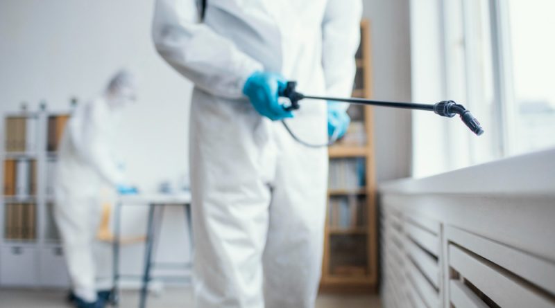 Are Bed Bugs Dangerous? Health Risks You Shouldn’t Ignore
