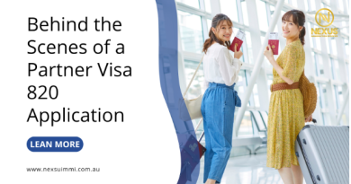 Behind the Scenes of a Partner Visa 820 Application