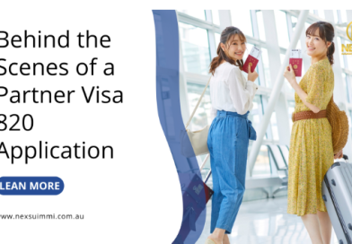 Behind the Scenes of a Partner Visa 820 Application