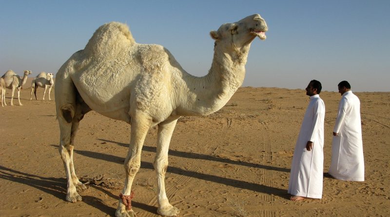 saudi-arabia-95500_1280